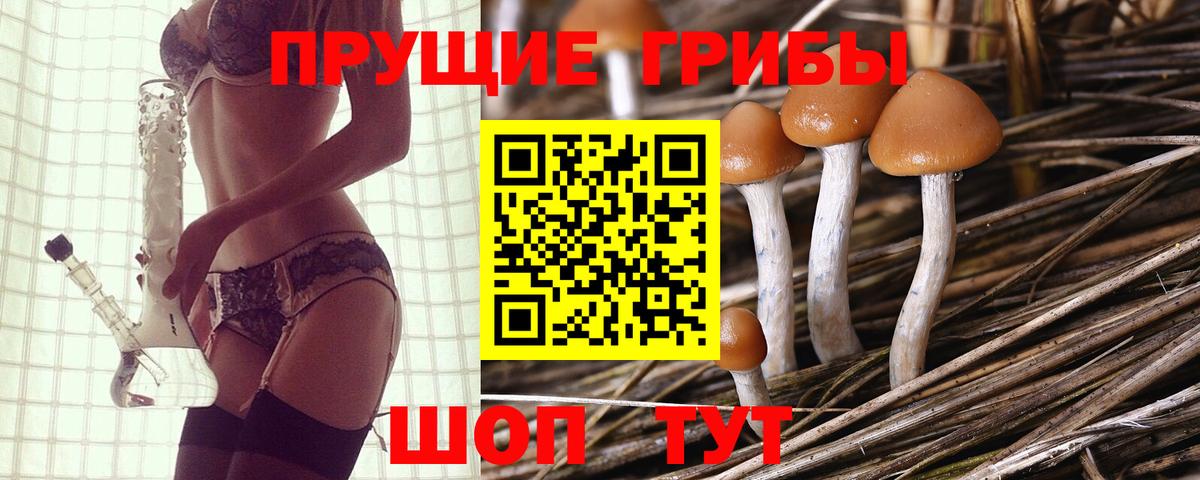 Майский  Галлюциногенные грибы Psilocybe  Вход с VPN 